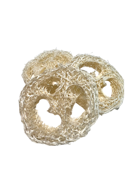 Loofah skive (sbeunderlag)